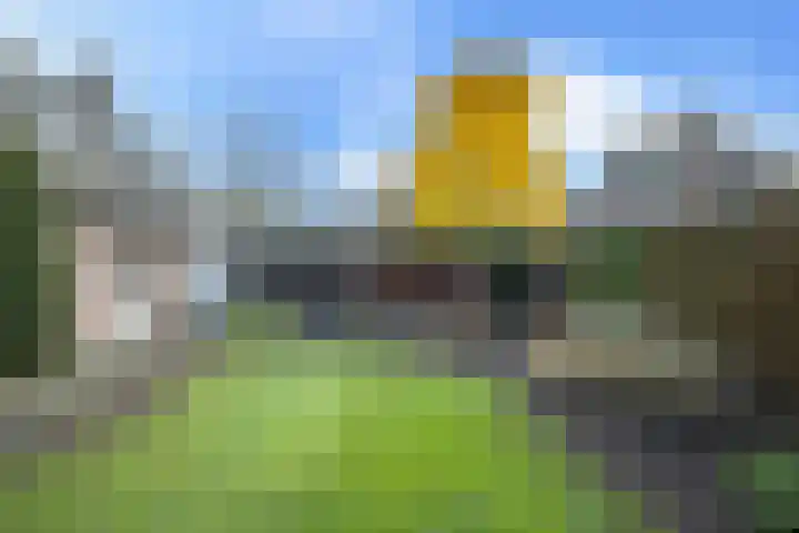 Lange Trekken 28 Bladel thumbnail 27