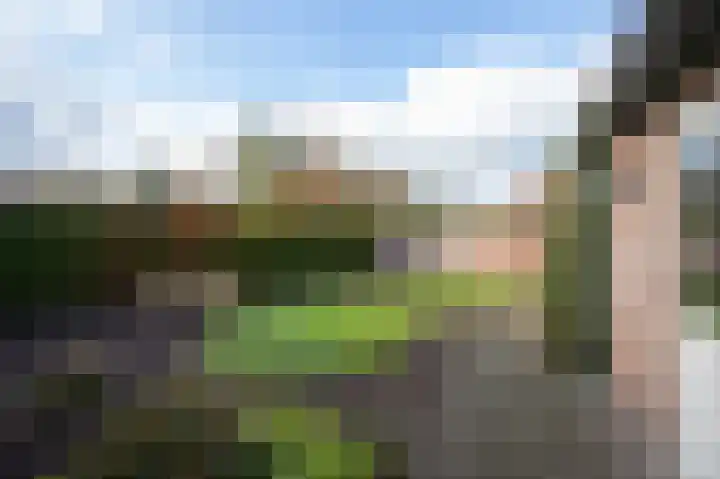 Lange Trekken 28 Bladel thumbnail 29