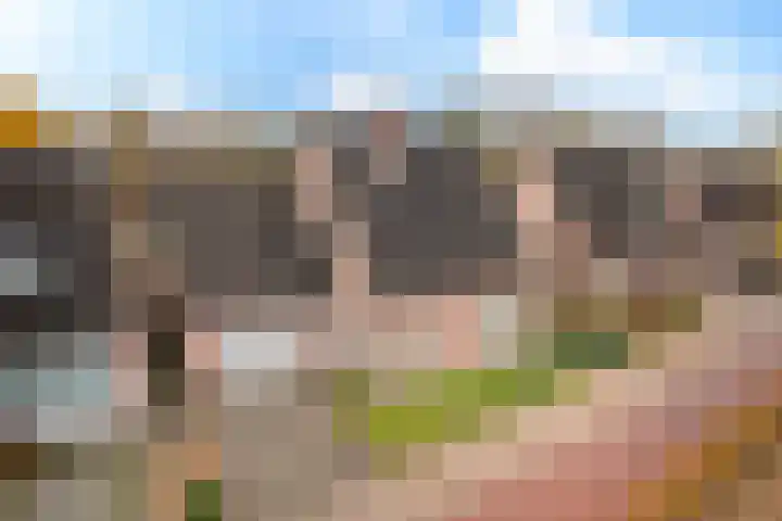 Lange Trekken 28 Bladel thumbnail 31