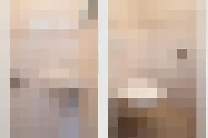 Lange Trekken 28 Bladel thumbnail 5