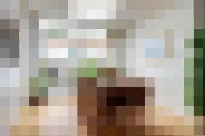 Lange Tuinstraat 16 Enkhuizen thumbnail 10