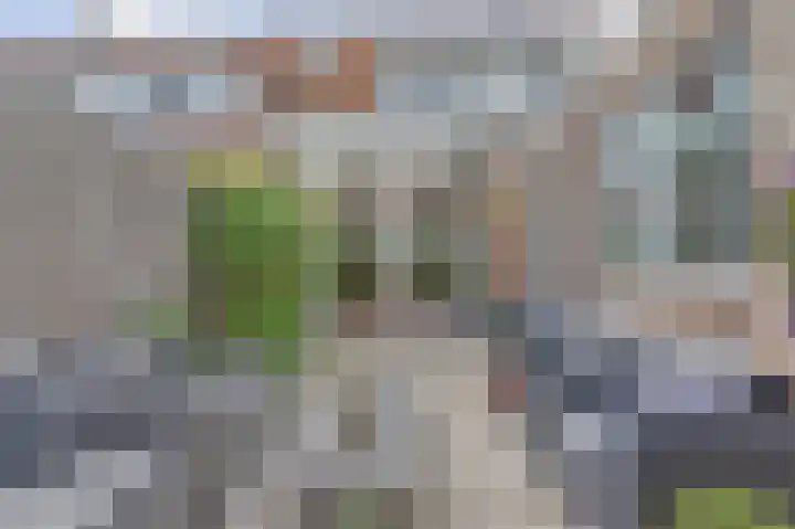 Lange Tuinstraat 16 Enkhuizen thumbnail 30