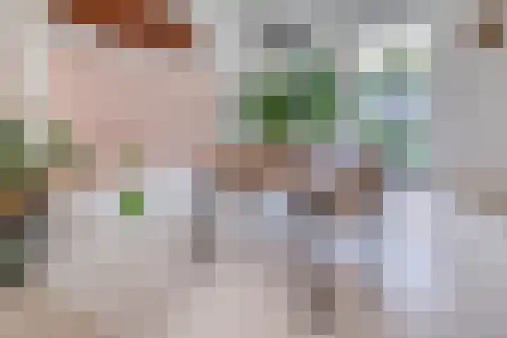 Lange Tuinstraat 16 's-Hertogenbosch thumbnail 10