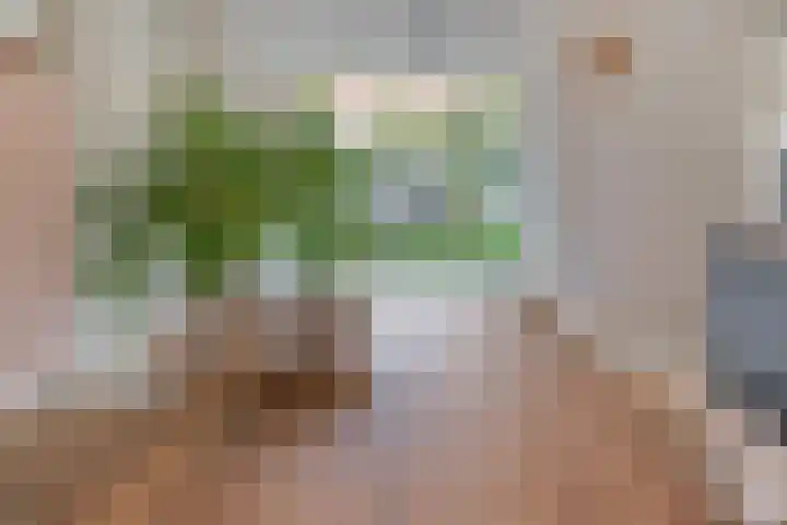 Lange Tuinstraat 16 's-Hertogenbosch thumbnail 11