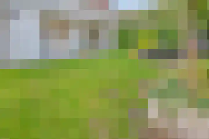 Lange Tuinstraat 16 's-Hertogenbosch thumbnail 16
