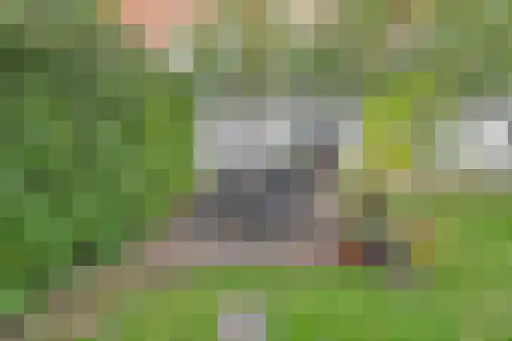 Lange Tuinstraat 16 's-Hertogenbosch thumbnail 17
