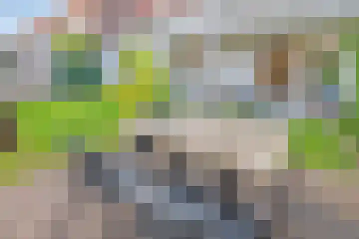 Lange Tuinstraat 16 's-Hertogenbosch thumbnail 18