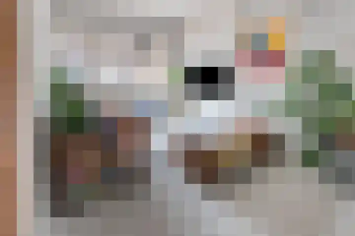 Lange Tuinstraat 16 's-Hertogenbosch thumbnail 6