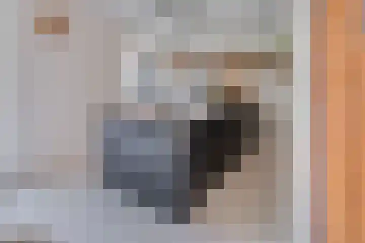Lange Tuinstraat 16 's-Hertogenbosch thumbnail 8