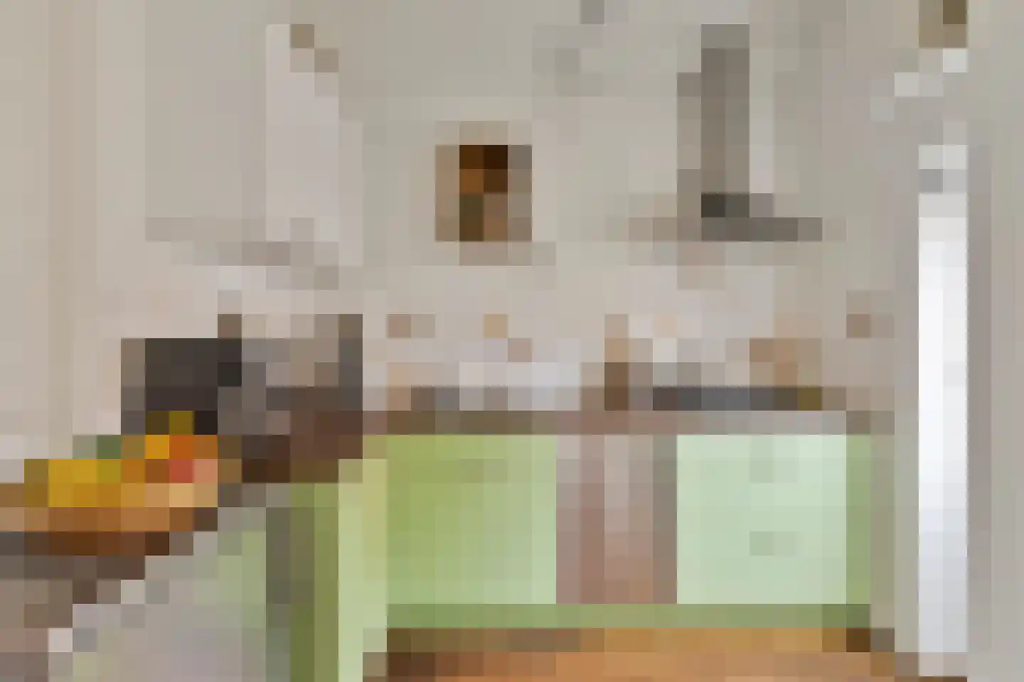 Lange Tuinstraat 20 's-Hertogenbosch thumbnail 12