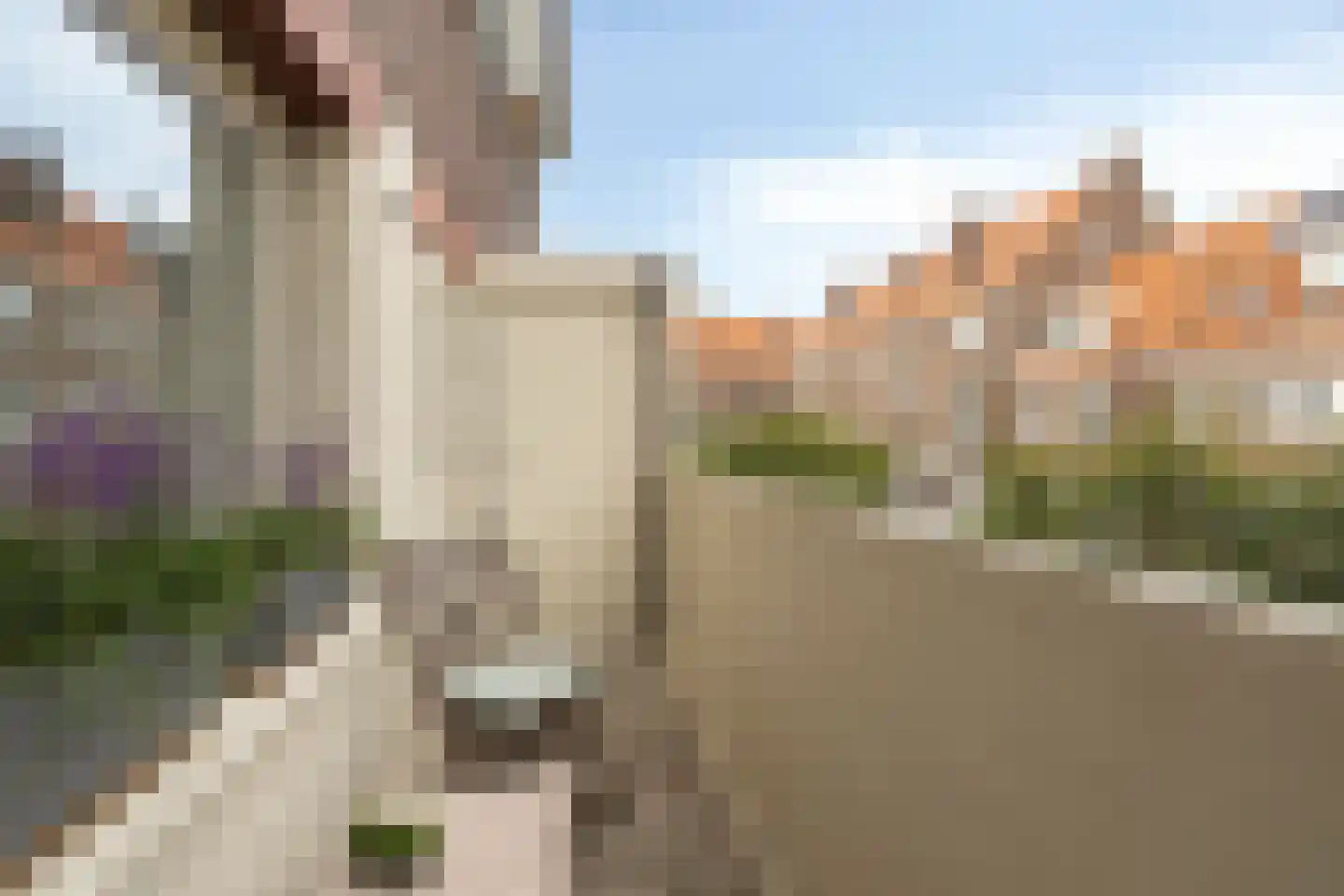 Lange Tuinstraat 20 's-Hertogenbosch thumbnail 15
