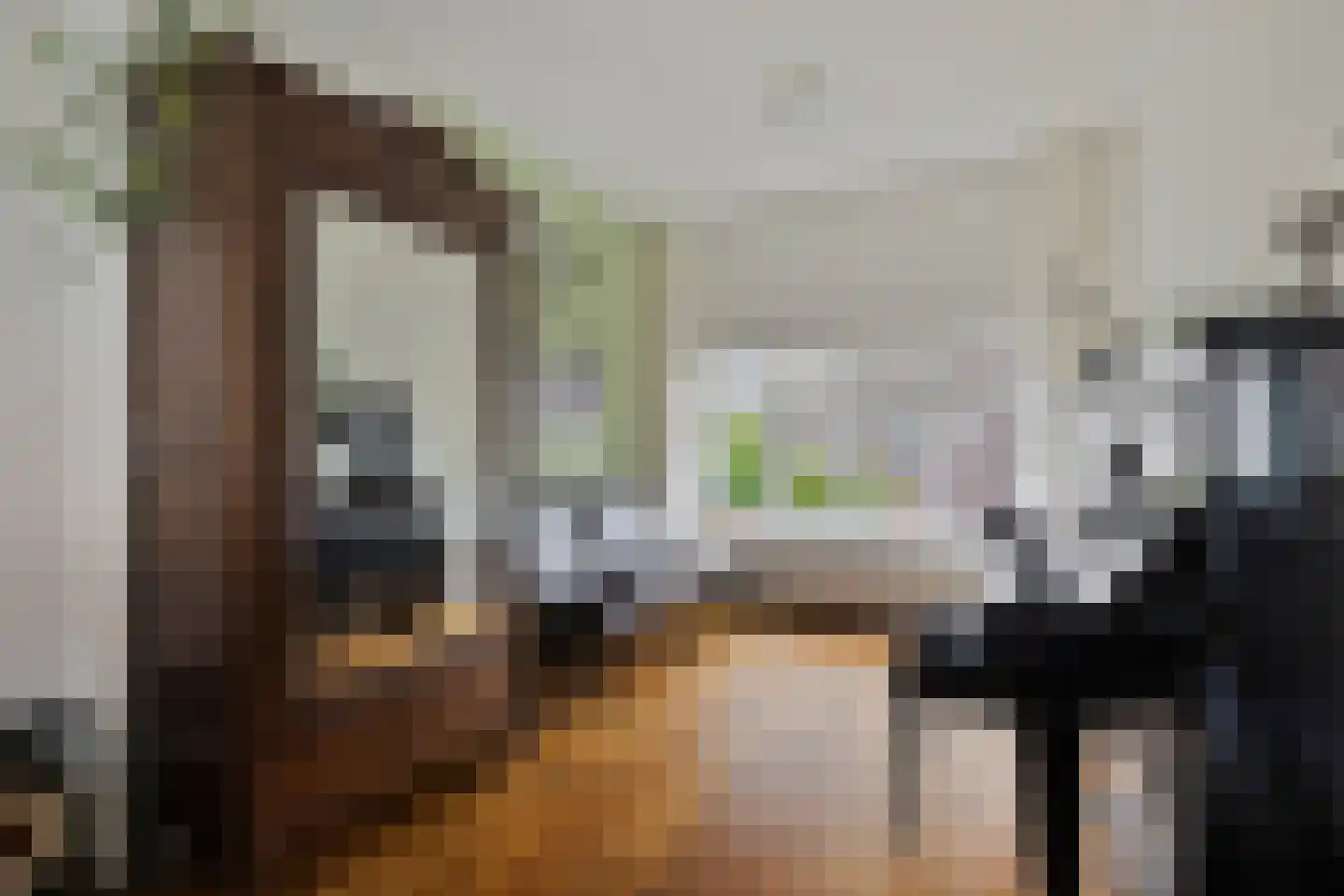 Lange Tuinstraat 20 's-Hertogenbosch thumbnail 7