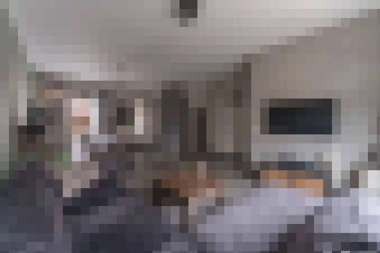 Lange Tuinstraat 24 Enkhuizen thumbnail 10