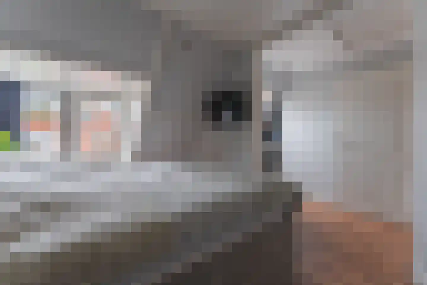 Lange Tuinstraat 24 Enkhuizen thumbnail 22