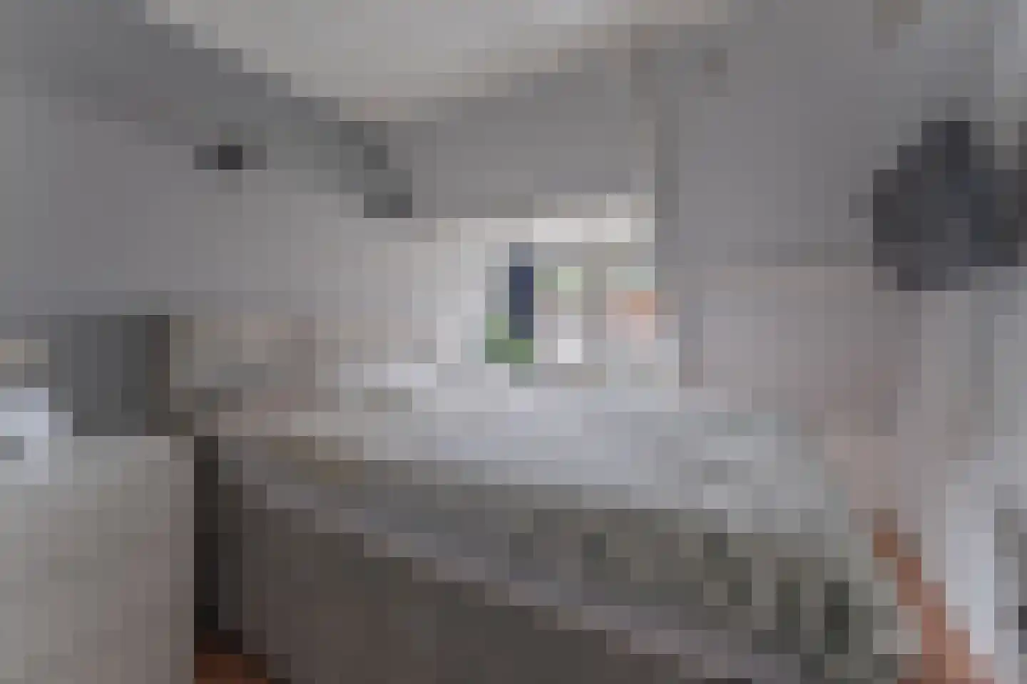 Lange Tuinstraat 24 Enkhuizen thumbnail 23