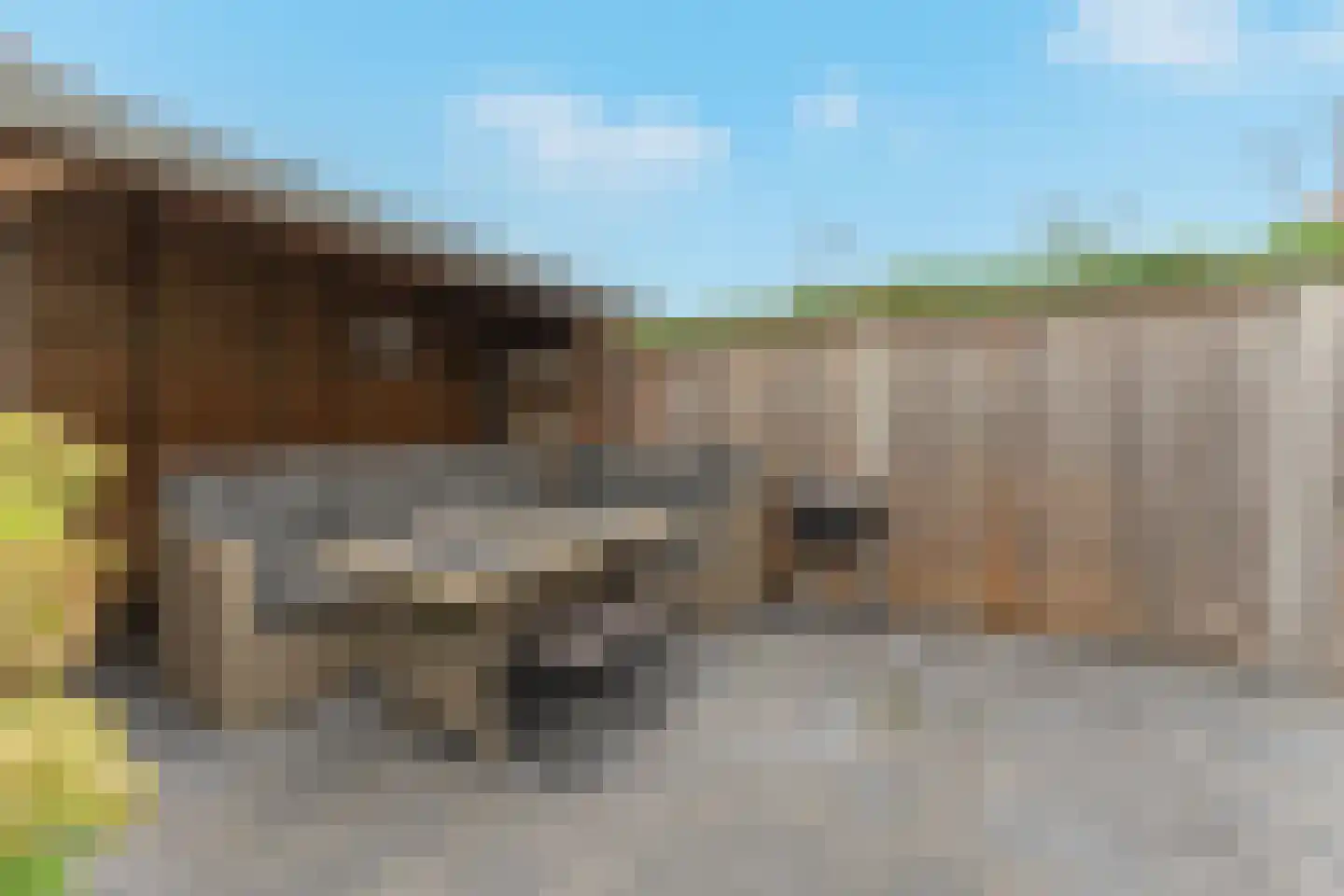 Lange Tuinstraat 24 Enkhuizen thumbnail 35
