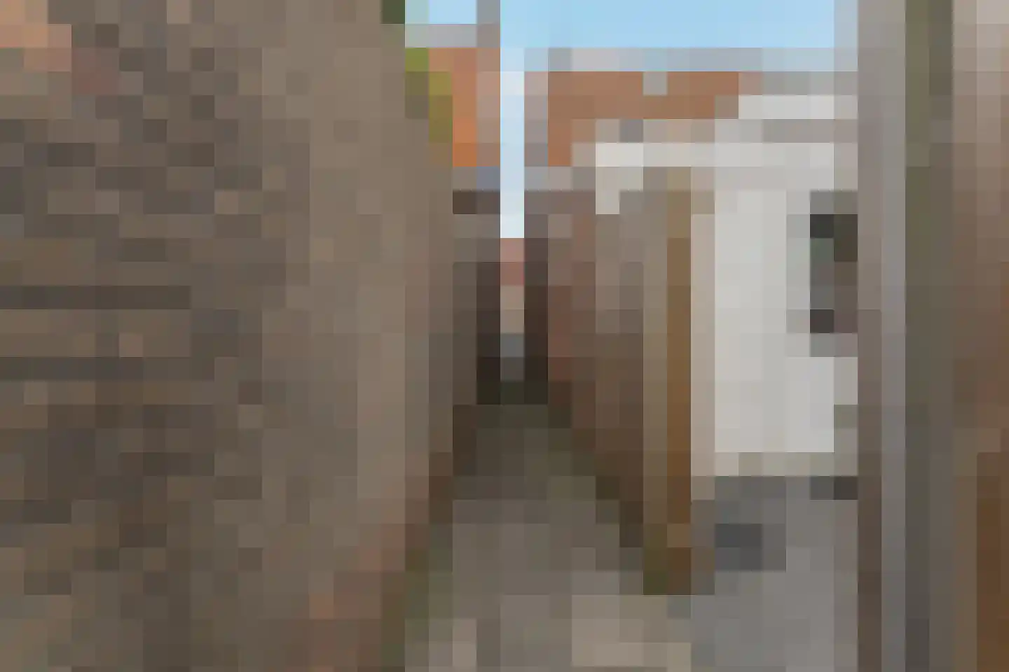 Lange Tuinstraat 24 Enkhuizen thumbnail 38
