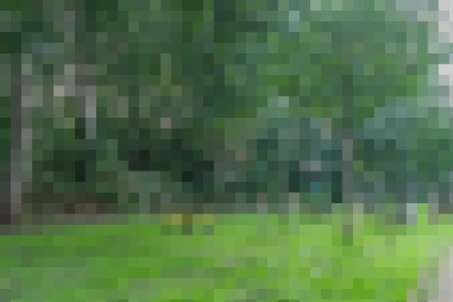 Lange Tuinstraat 24 Enkhuizen thumbnail 40