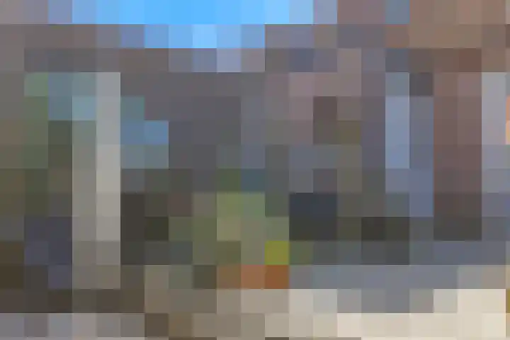 Lange Tuinstraat 40 Enkhuizen thumbnail 39