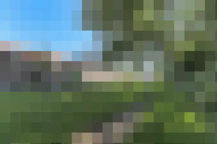Lange Tuinstraat 40 Enkhuizen thumbnail 8
