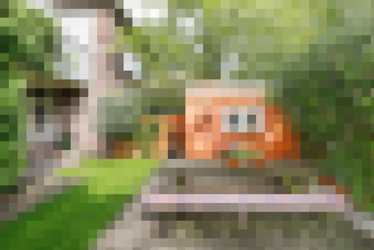 Lange Tuinstraat 76 's-Hertogenbosch thumbnail 28