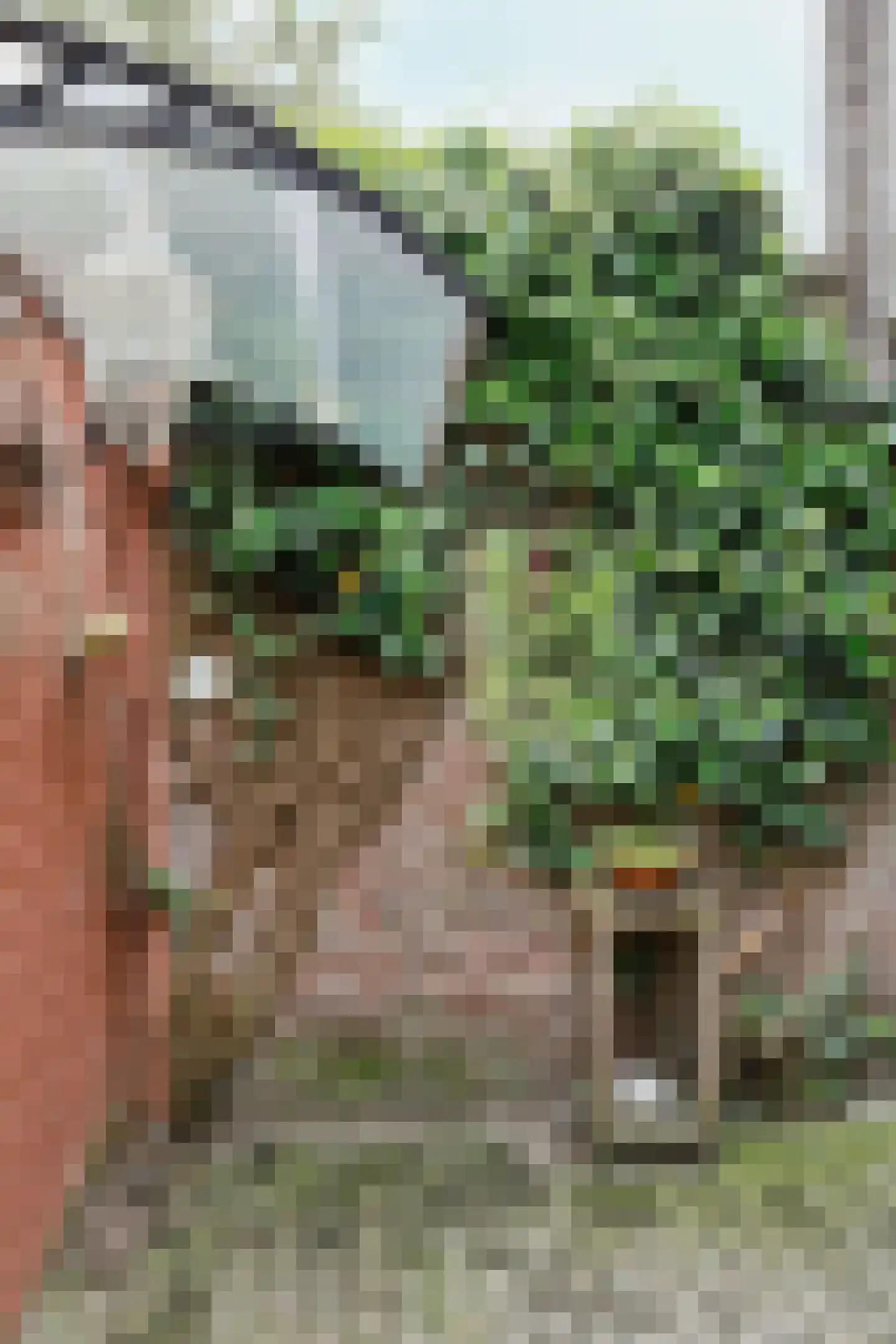 Lange Tuinstraat 76 's-Hertogenbosch thumbnail 33