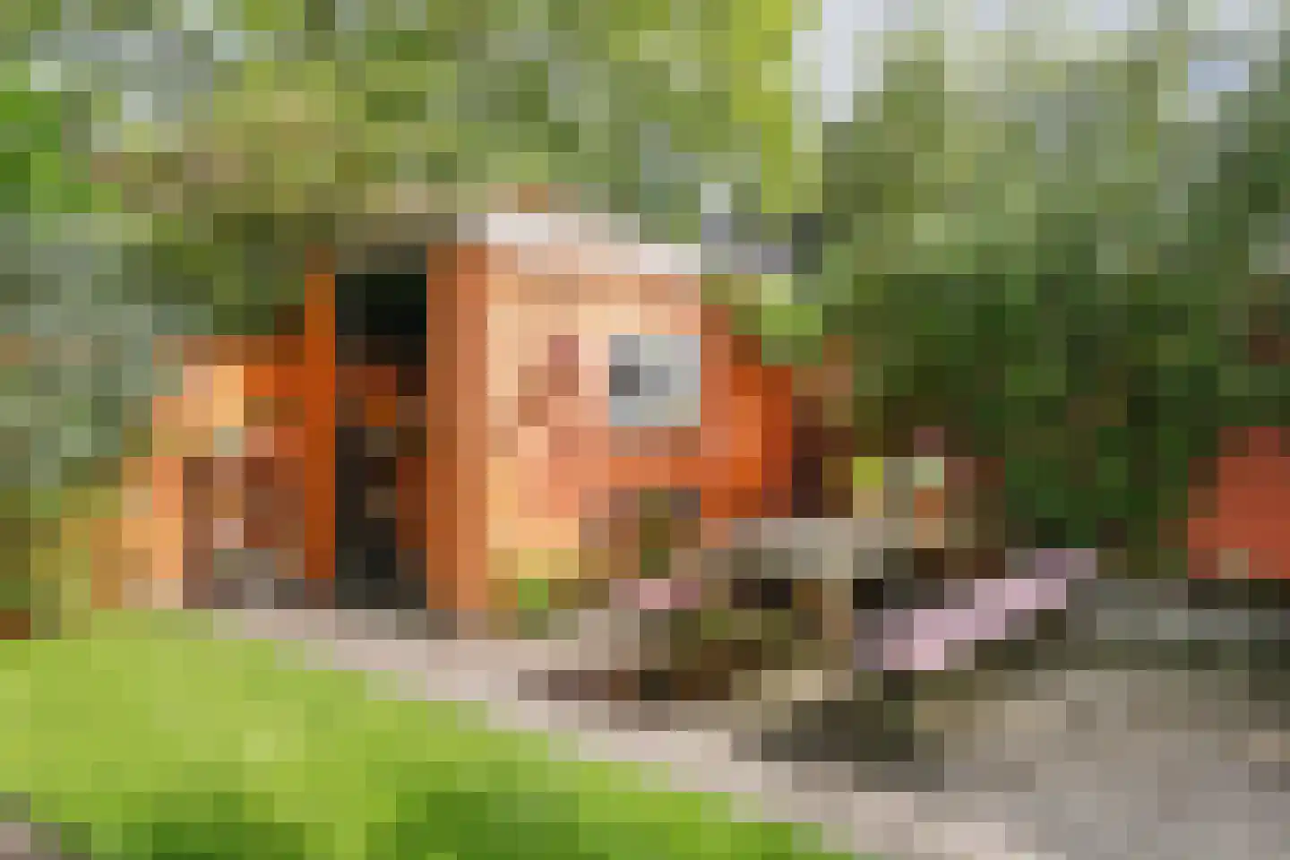 Lange Tuinstraat 76 's-Hertogenbosch thumbnail 34