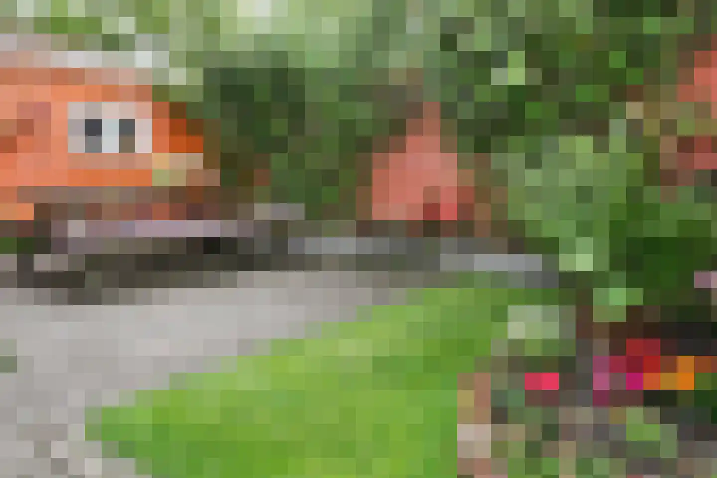 Lange Tuinstraat 76 's-Hertogenbosch thumbnail 35