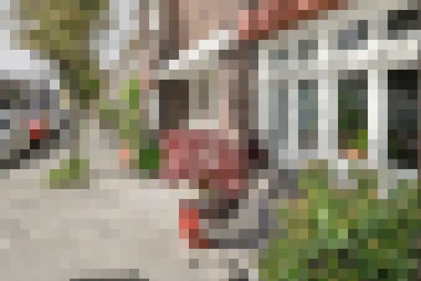 Lange Tuinstraat 76 's-Hertogenbosch thumbnail 37