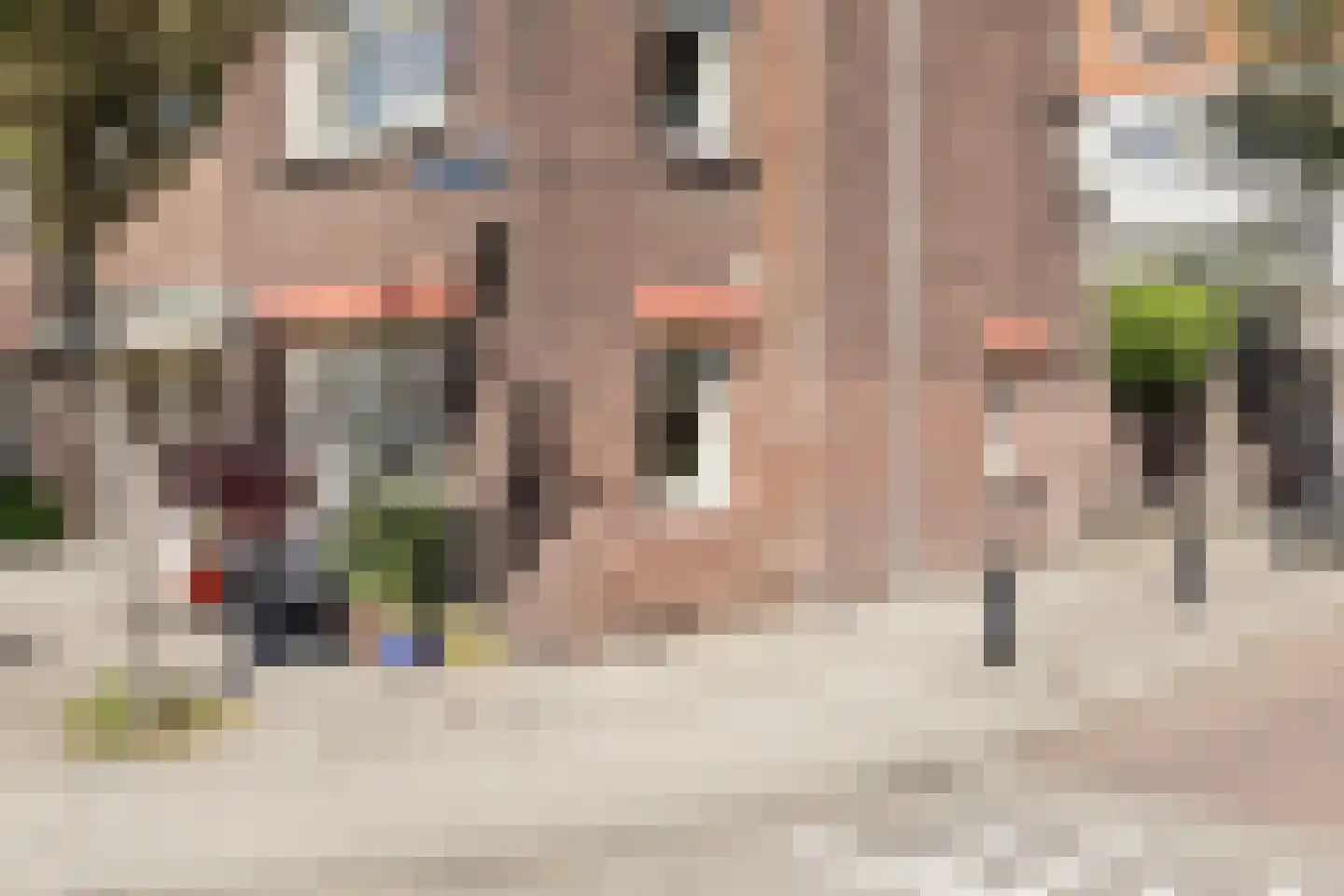 Lange Tuinstraat 76 's-Hertogenbosch thumbnail 39