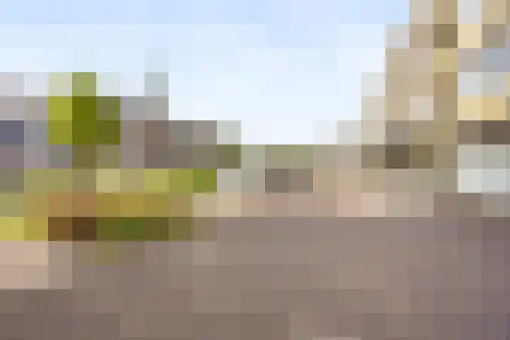 Lange Uitweg 3 Arnhem thumbnail 25