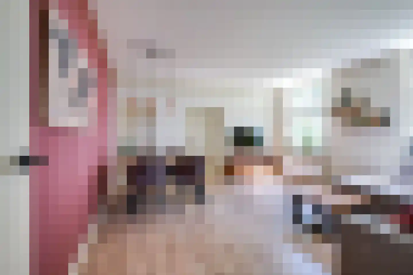 Lange Uitweg 33 Schalkwijk thumbnail 13