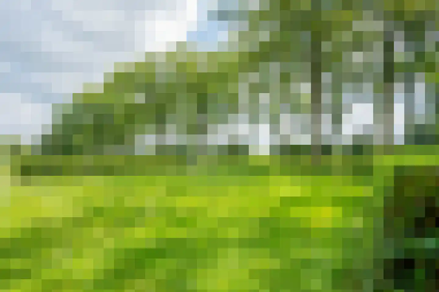 Lange Uitweg 33 Schalkwijk thumbnail 31