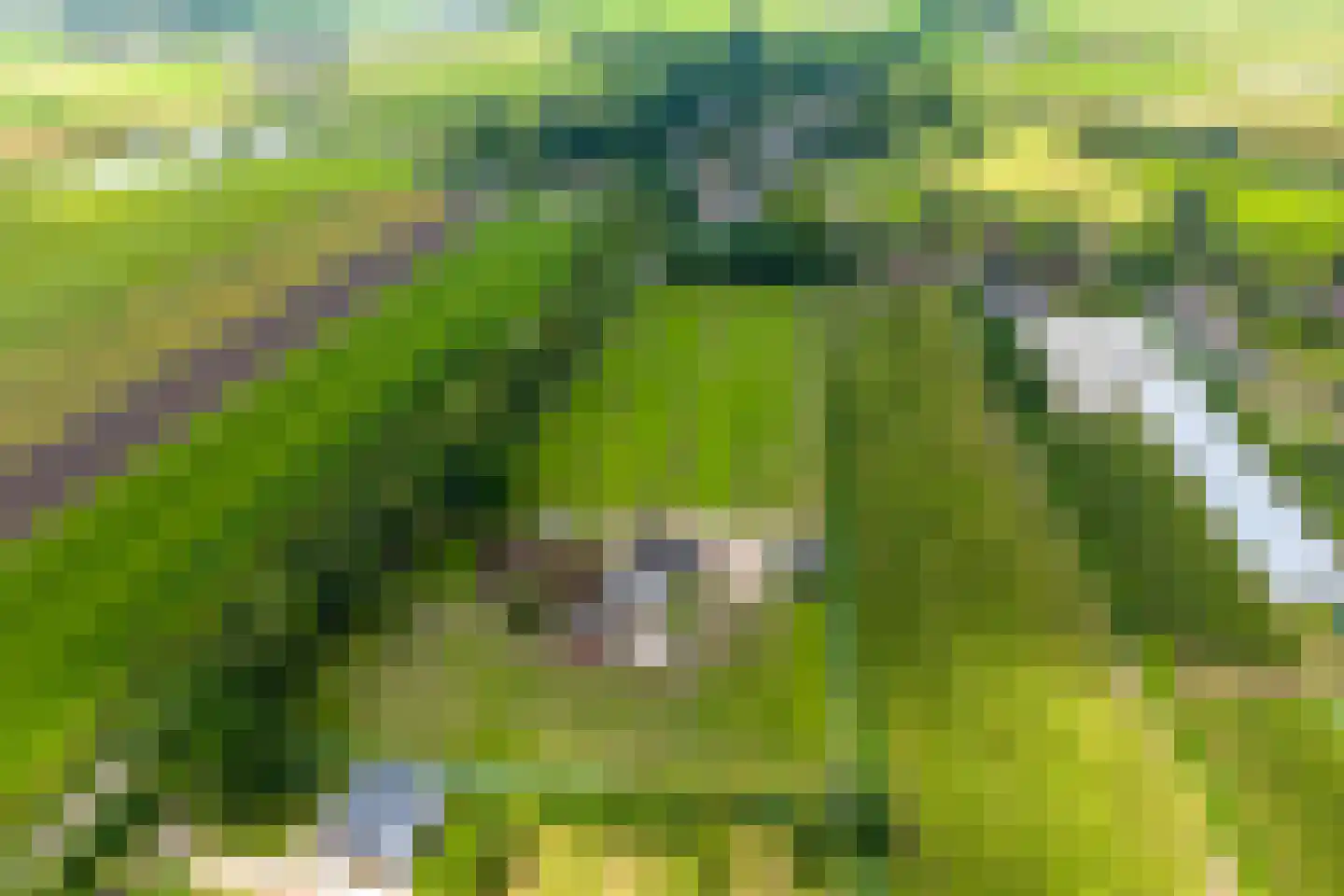 Lange Uitweg 33 Schalkwijk thumbnail 32