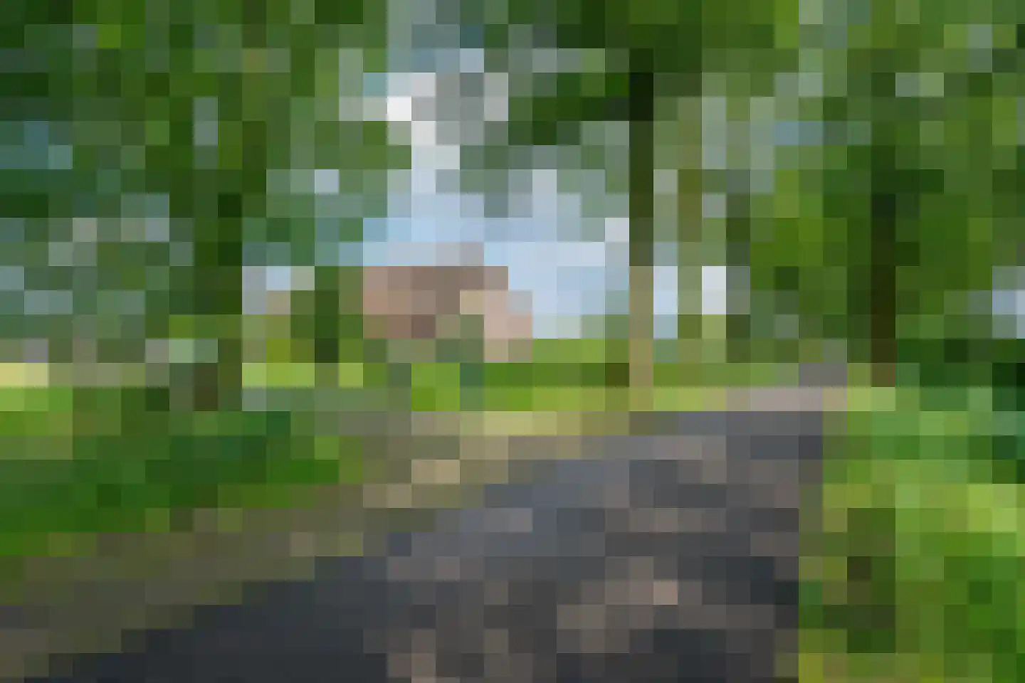 Lange Uitweg 33 Schalkwijk thumbnail 33