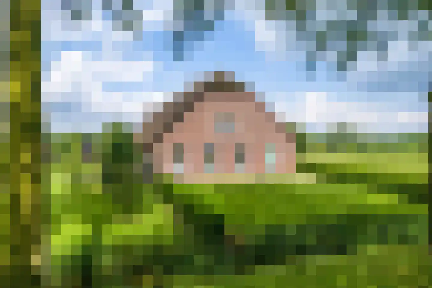 Lange Uitweg 33 Schalkwijk thumbnail 4