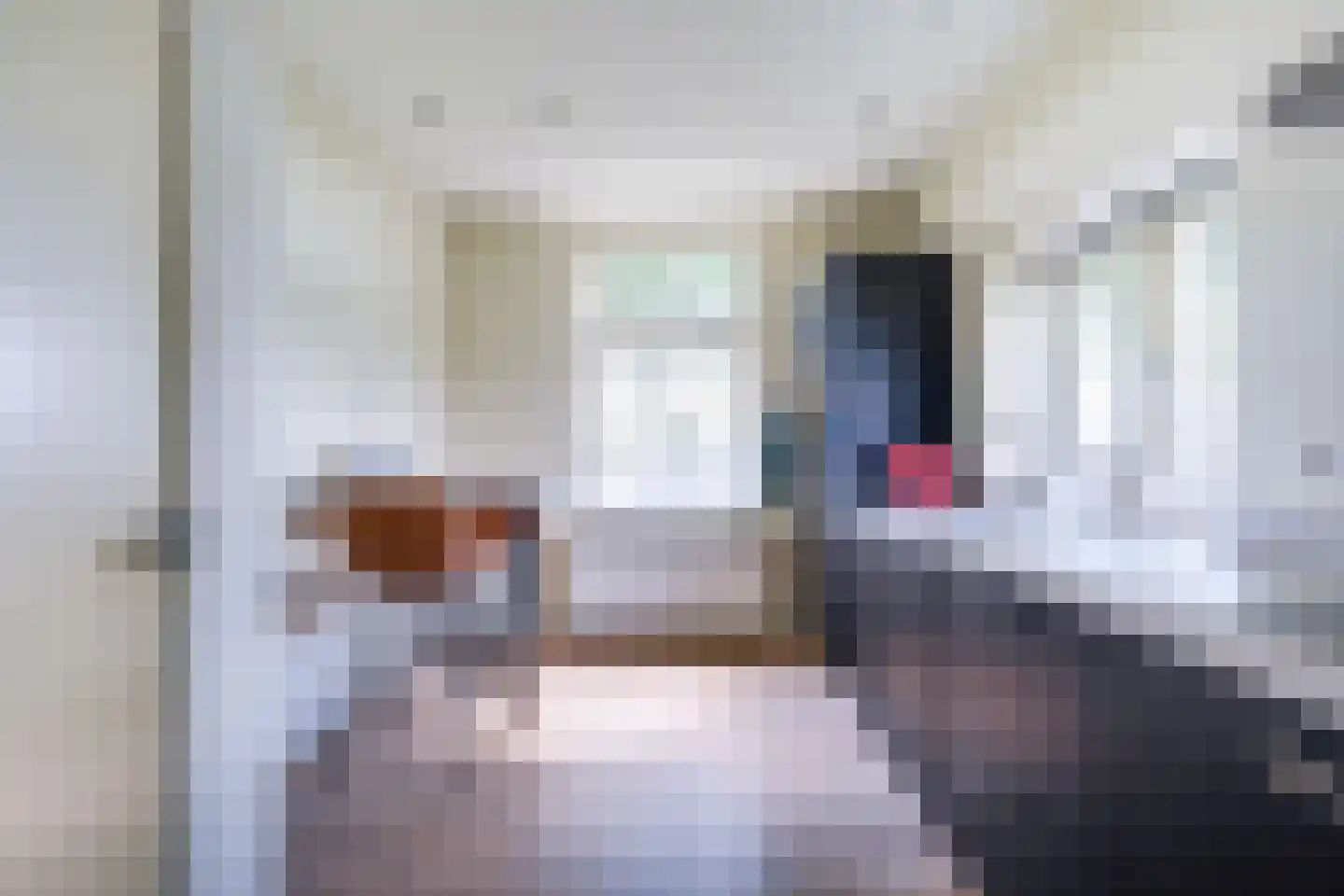 Lange Uitweg 33 Schalkwijk thumbnail 7