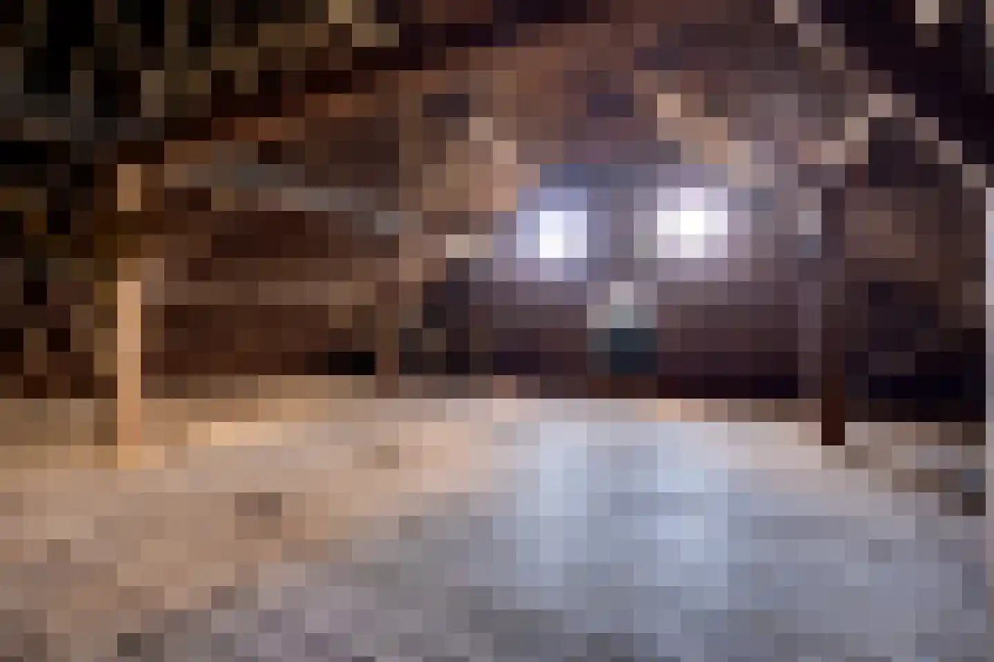 Lange Uitweg 35 Schalkwijk thumbnail 10