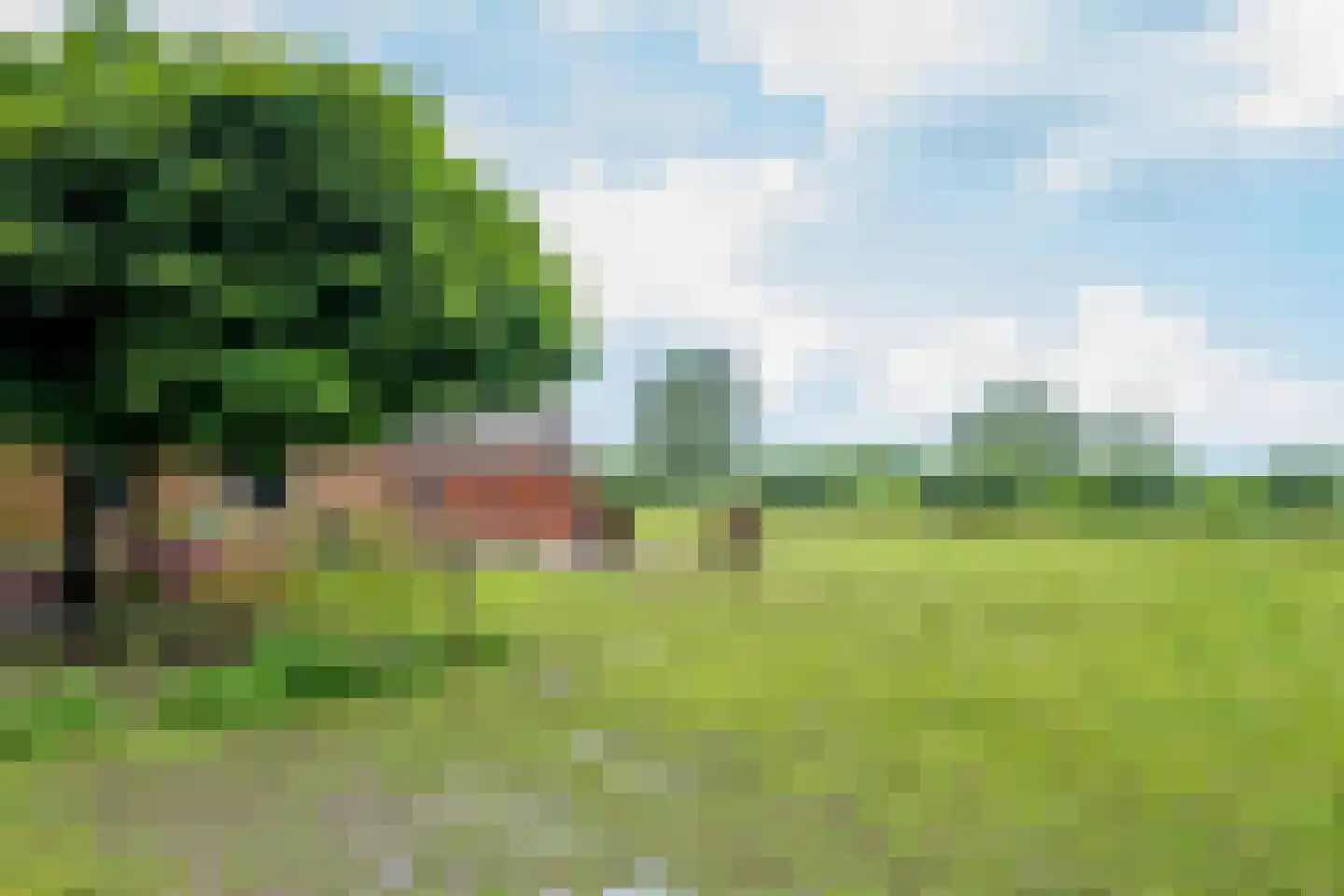 Lange Uitweg 35 Schalkwijk thumbnail 20