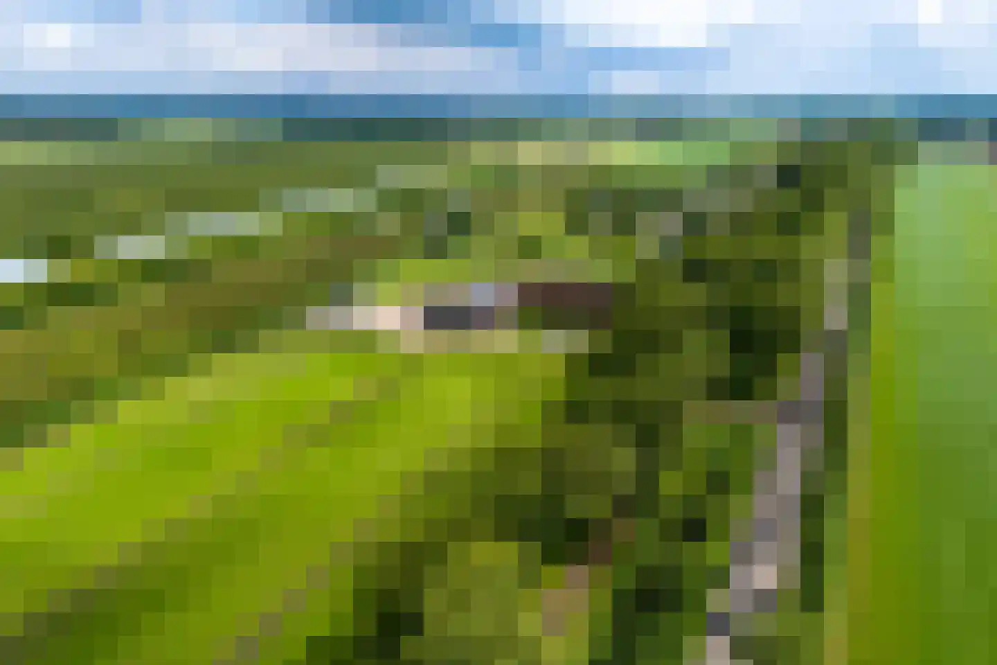Lange Uitweg 35 Schalkwijk thumbnail 26