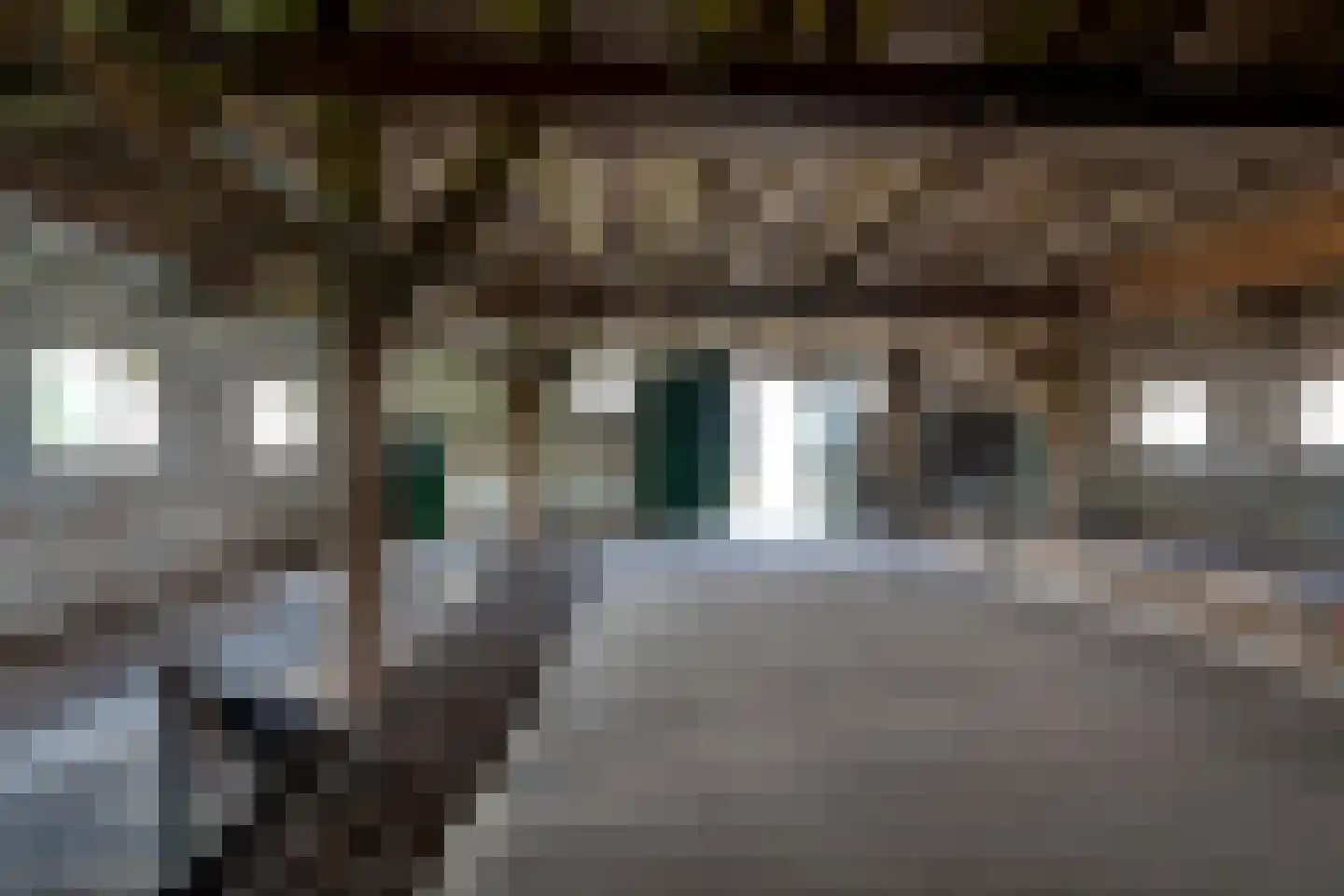 Lange Uitweg 35 Schalkwijk thumbnail 8