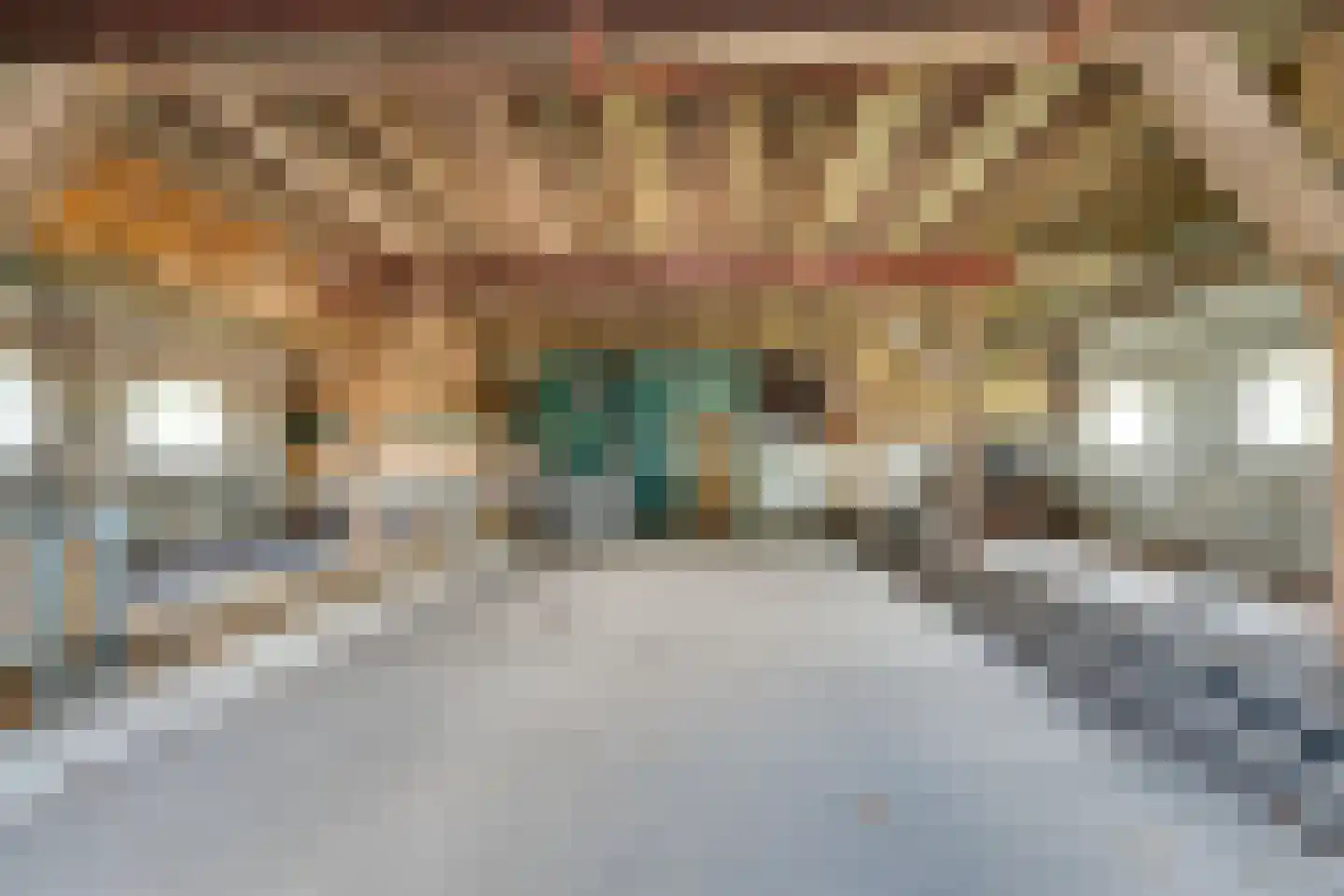 Lange Uitweg 35 Schalkwijk thumbnail 9