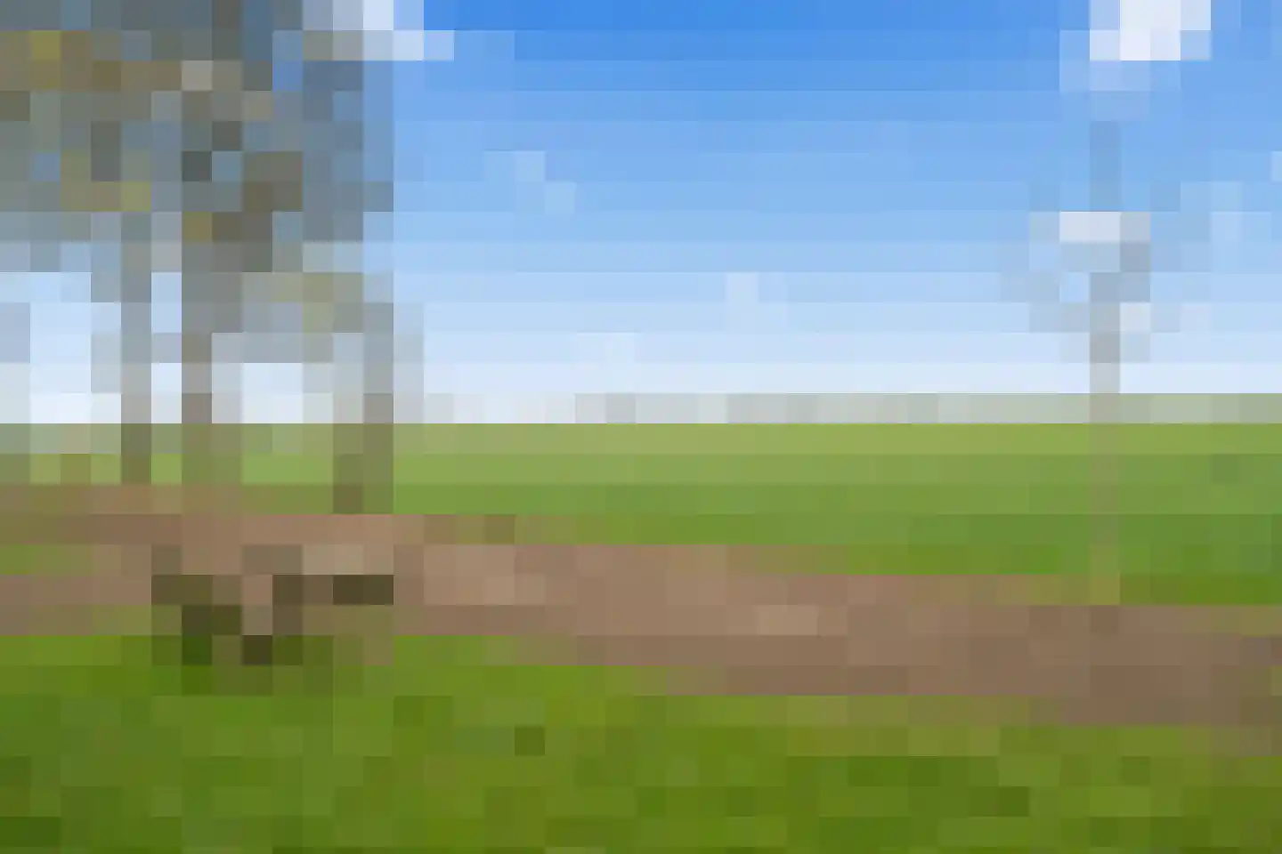Lange Uitweg 39 Tull en 't Waal thumbnail 16