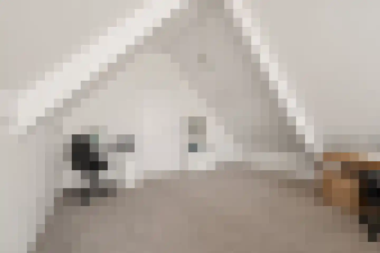 Lange Uitweg 39 Tull en 't Waal thumbnail 39