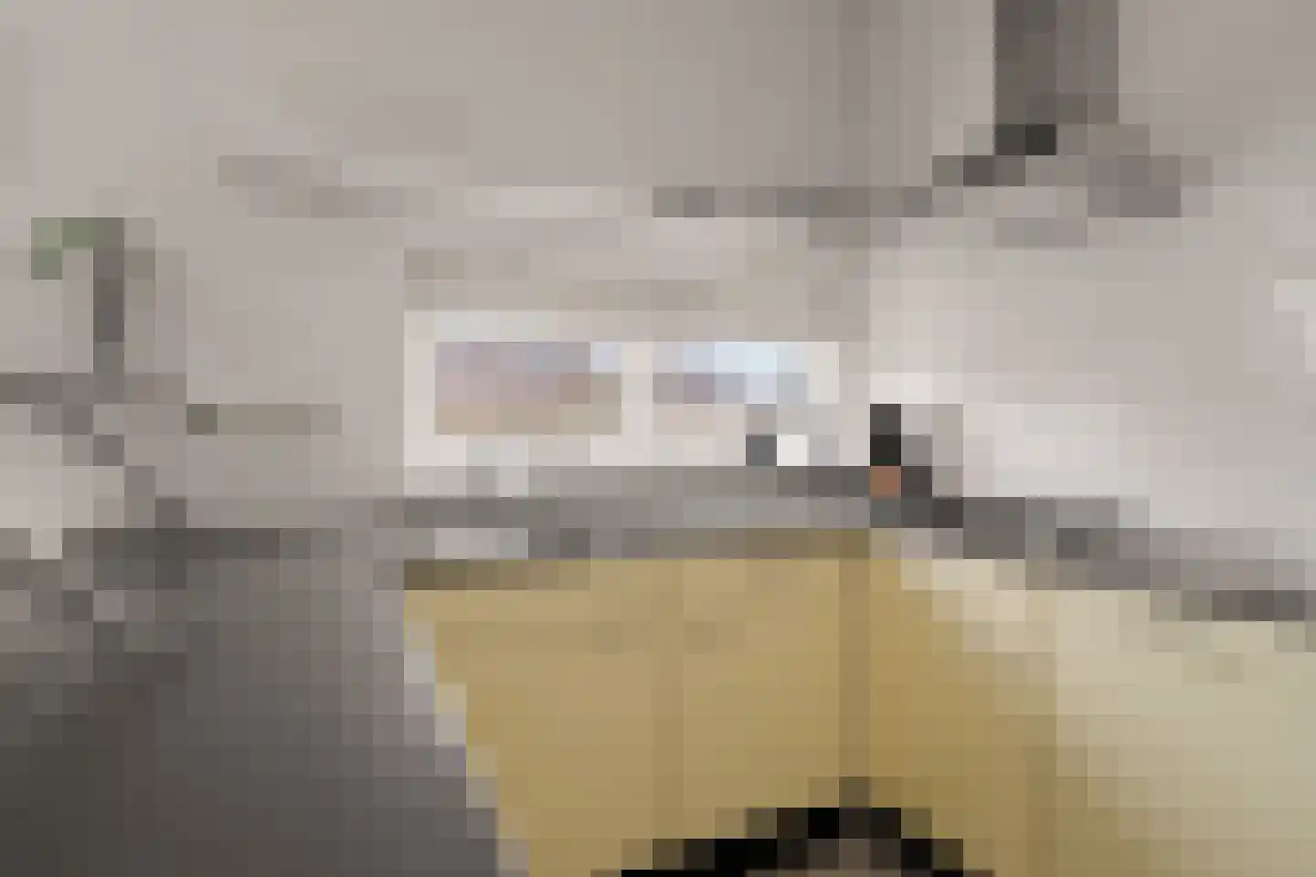Lange Uitweg 39 Tull en 't Waal thumbnail 46