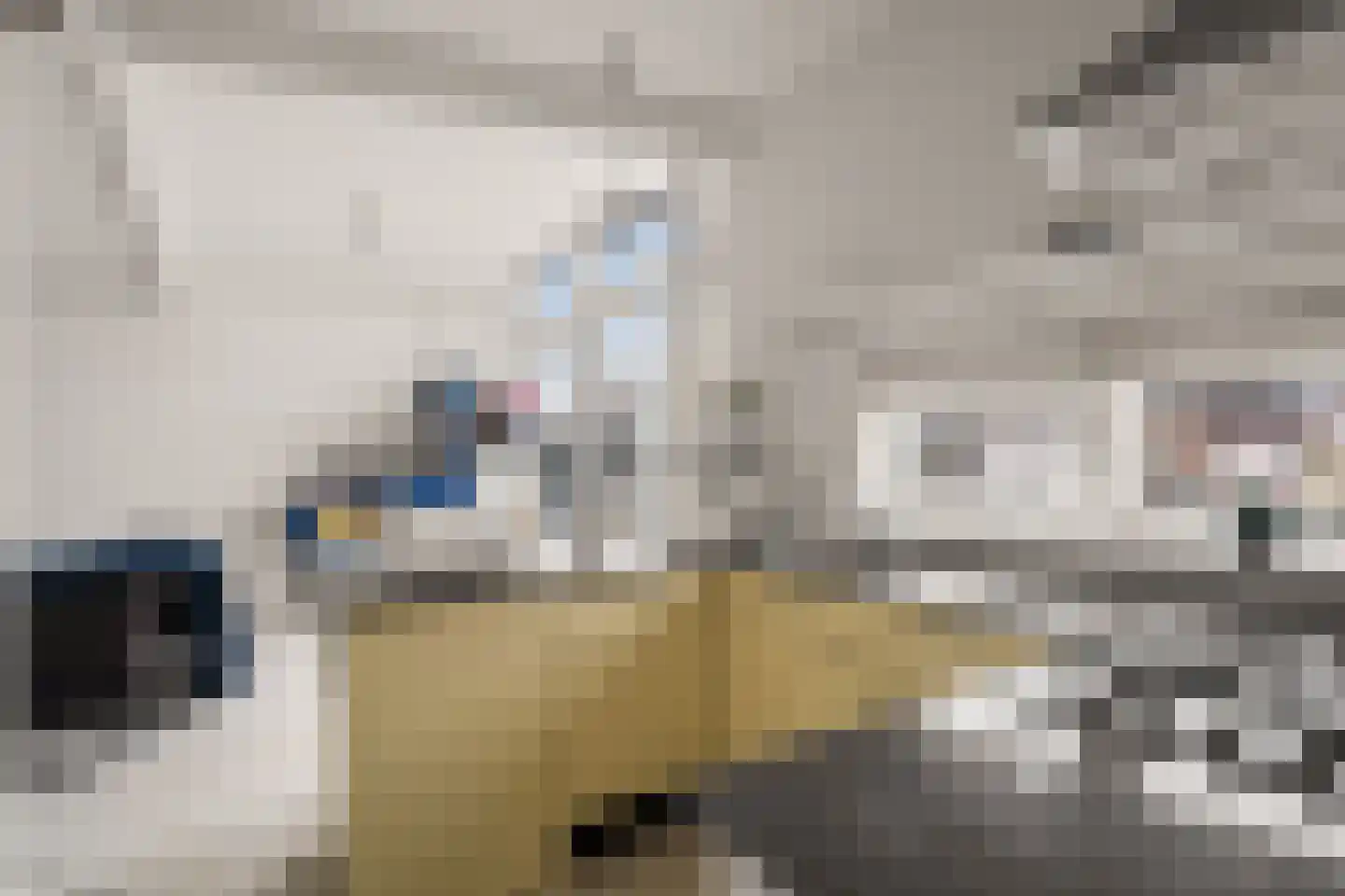 Lange Uitweg 39 Tull en 't Waal thumbnail 47
