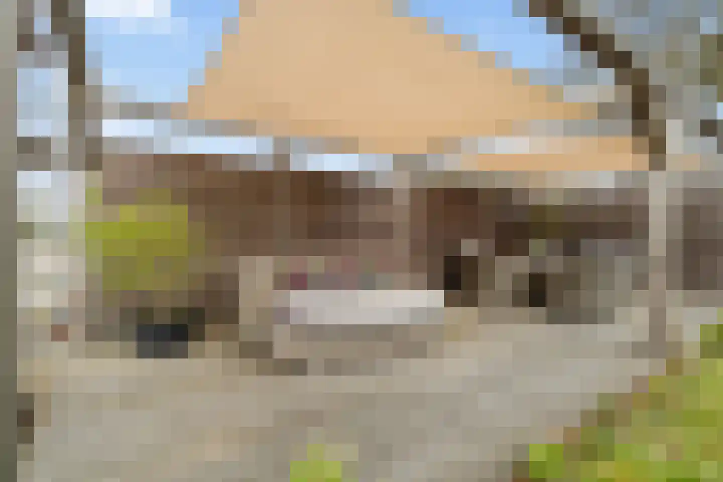 Lange Uitweg 39 Tull en 't Waal thumbnail 58
