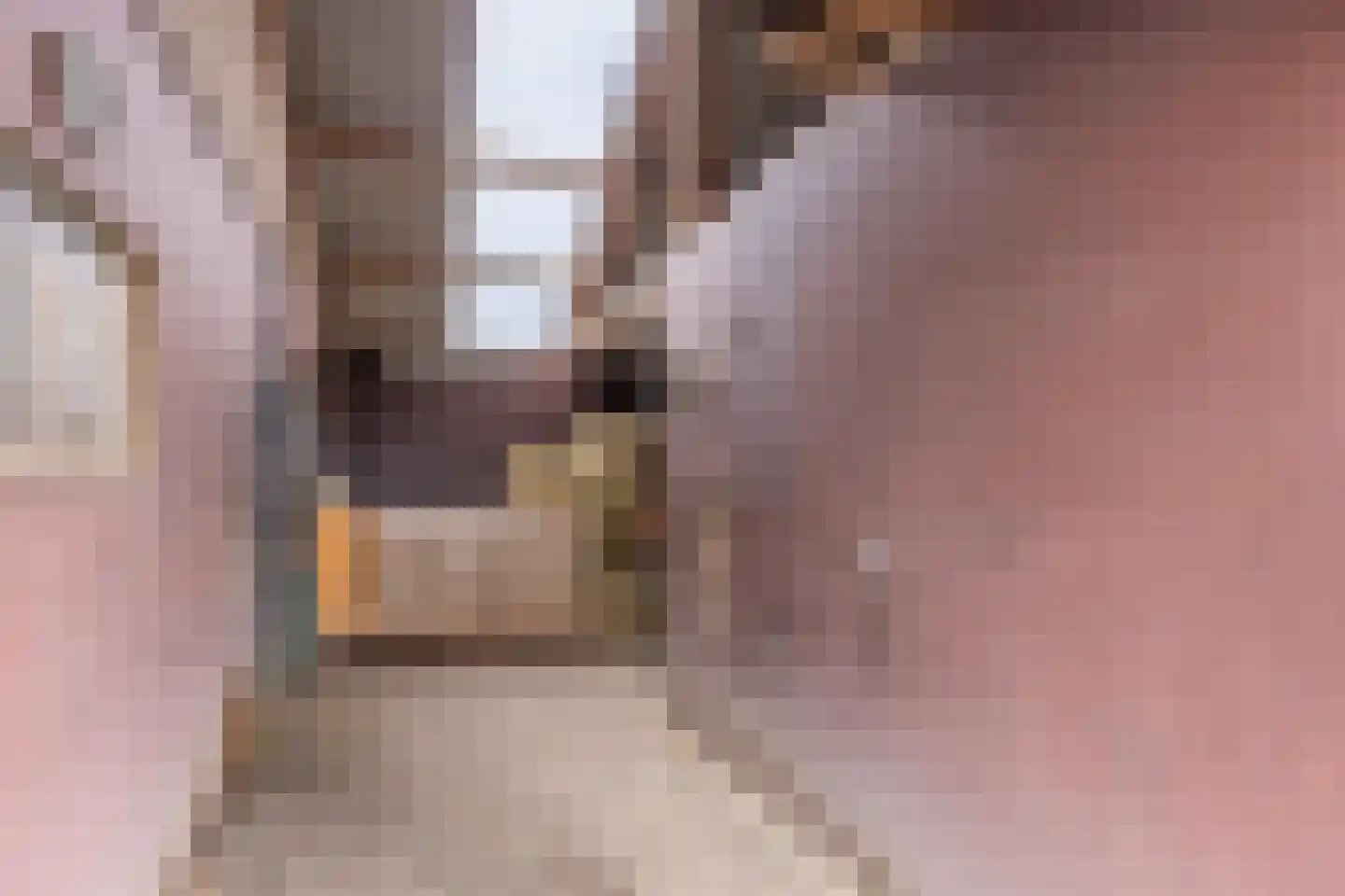 Lange Uitweg 39 Tull en 't Waal thumbnail 65