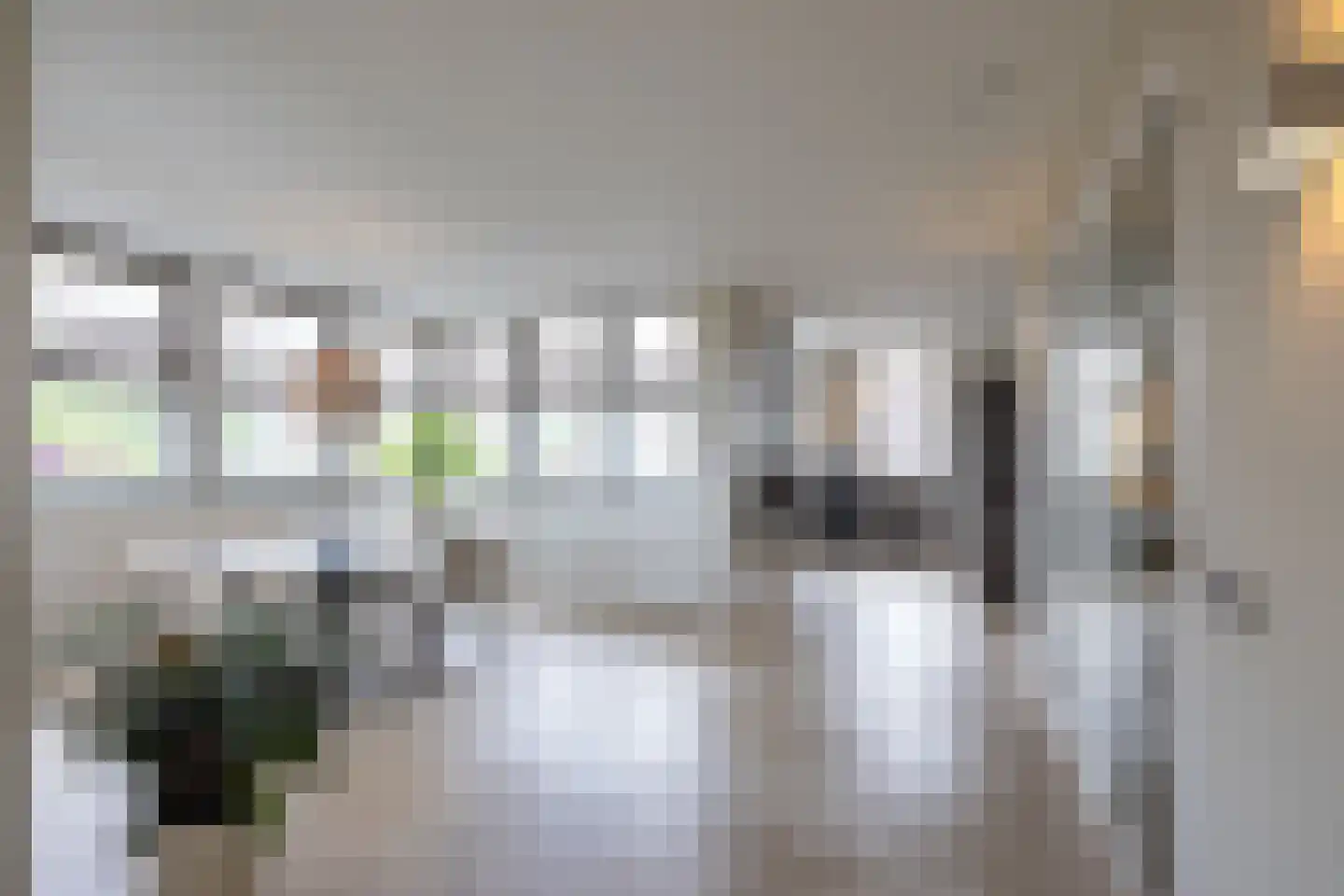 Lange Vaart 13 Bleiswijk thumbnail 11