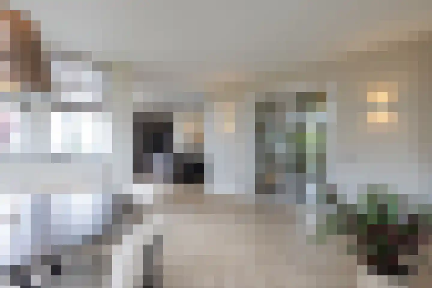 Lange Vaart 13 Bleiswijk thumbnail 13